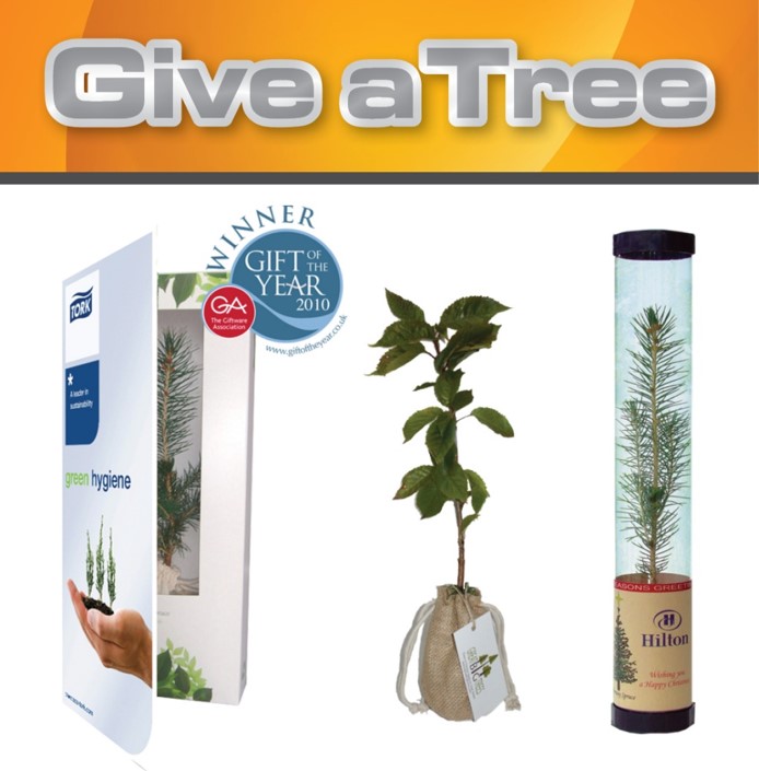Grow Your Own Tree