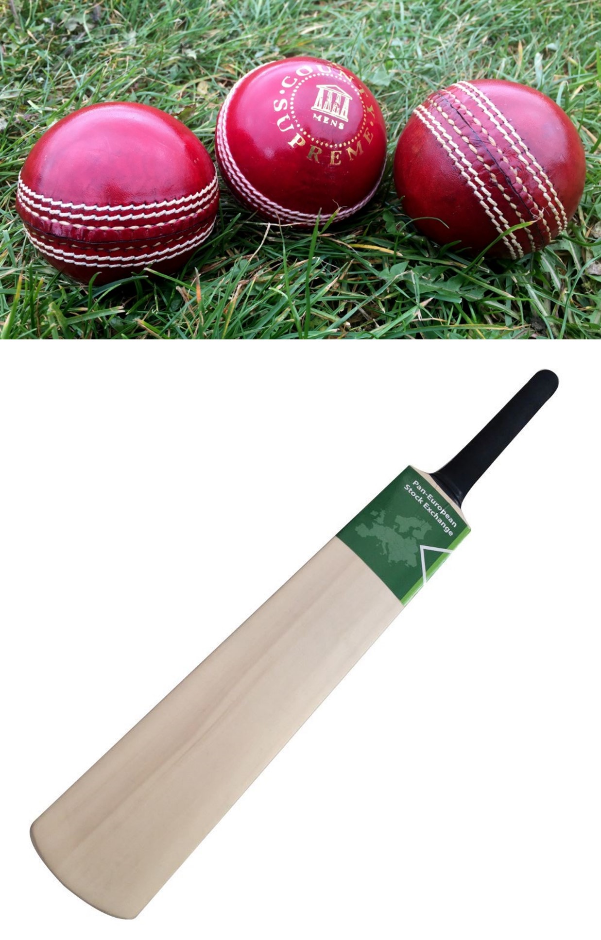 Custom Logo Cricket Bats and Balls